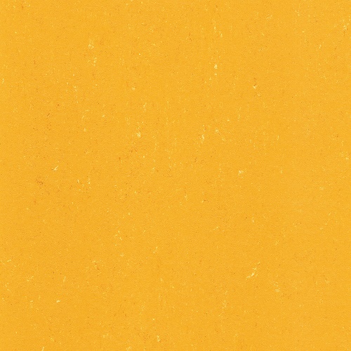 1171 Sunrise Orange