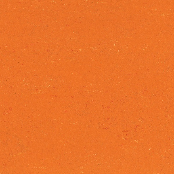 0170 Kumquat Orange