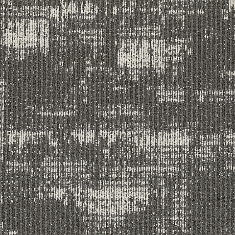 Negative 981 Fossil