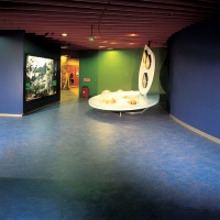 Forbo Marmoleum Vivace