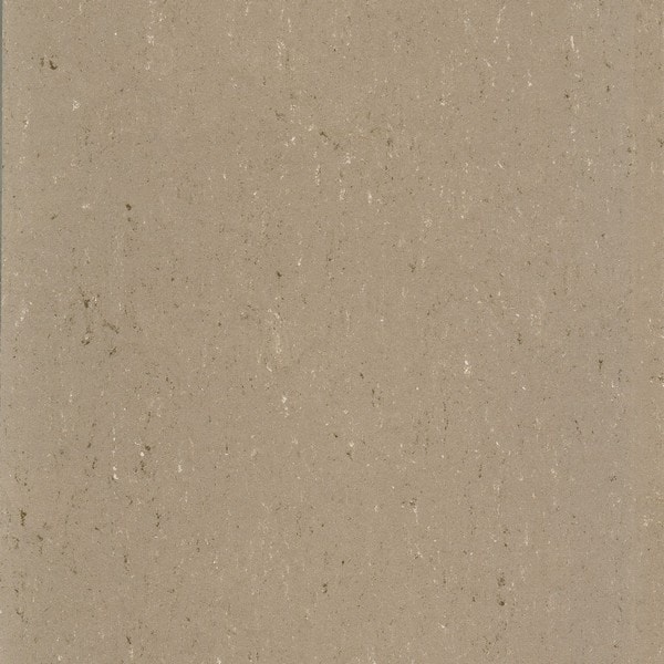 0043 Light Mud