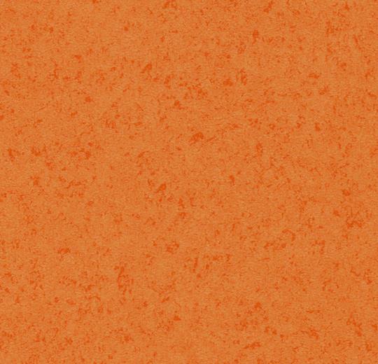 432246 orange