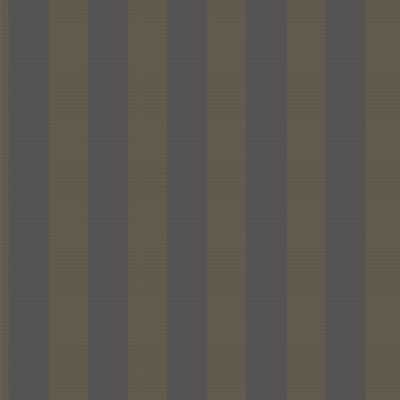Sunrise 008-25338