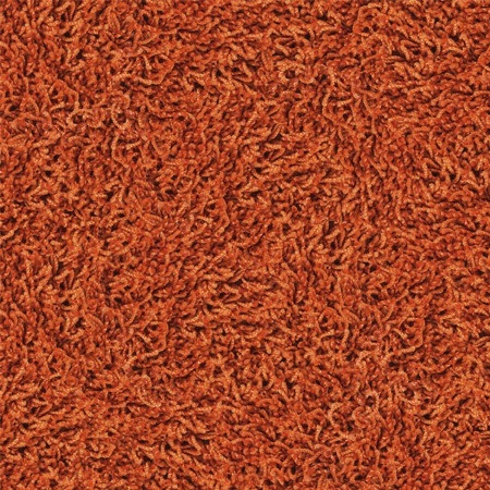 Desso Twist 5001