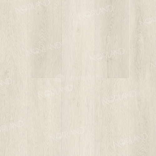 Solem 1022-10
