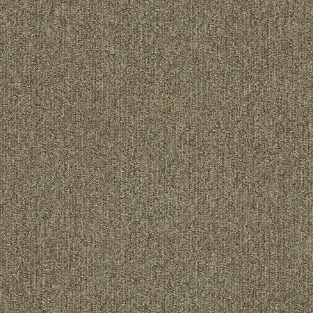 Series 101 338411 shale