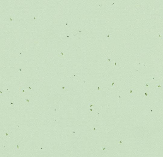 50238 sea green