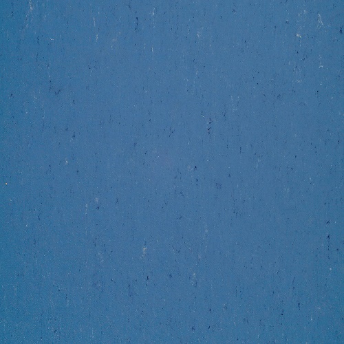 1004 Bluebird