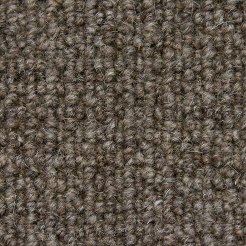 Paddington 133 mink