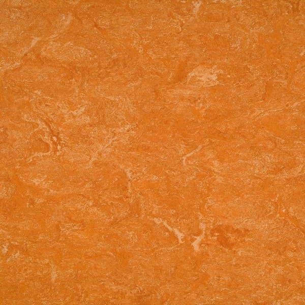 0073 Spicy Orange