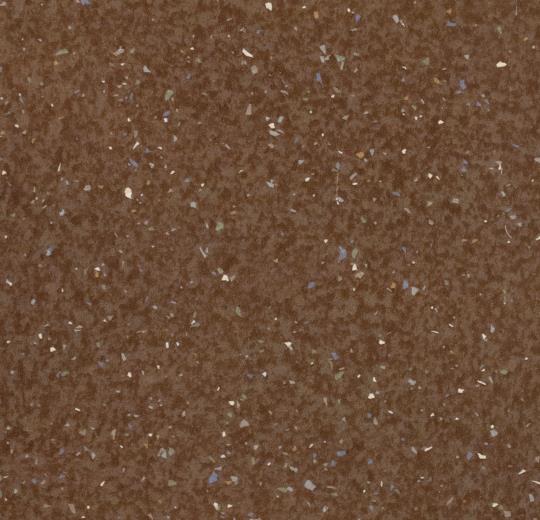 Spectra 5528
