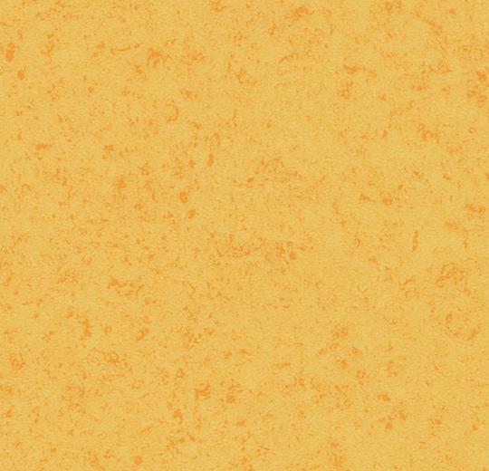 432205 yellow