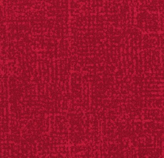 s246031_t546031 cherry