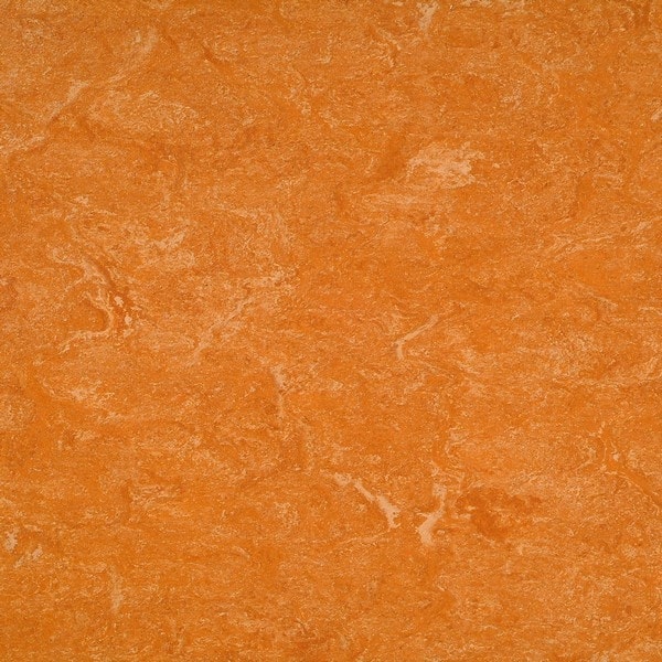 0073 spicy orange 2,5 мм