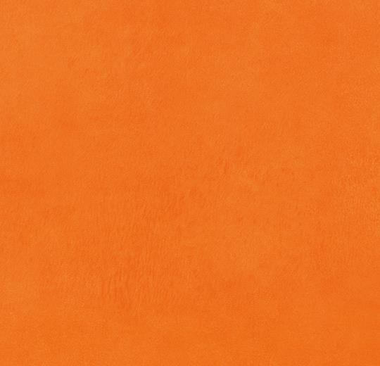 433786, 432786 pumpkin