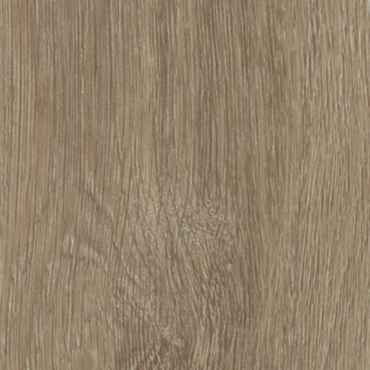 60288CL5 light giant oak