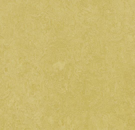 3259 mustard 2,5-3,5 mm