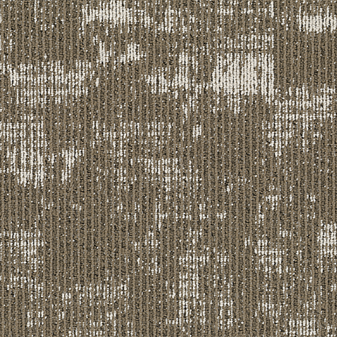 Negative 817 Pine