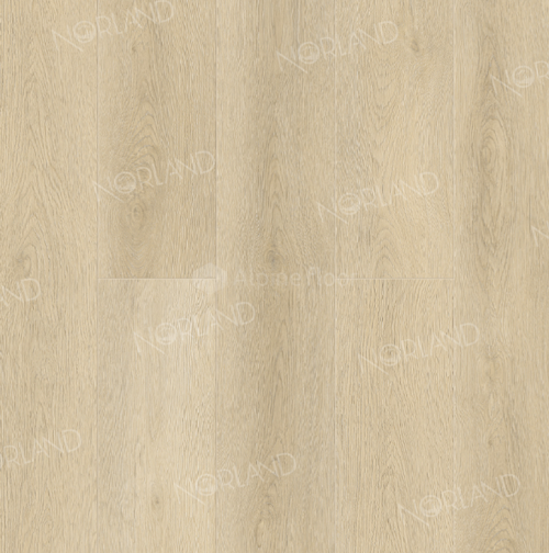 Signe 1022-9