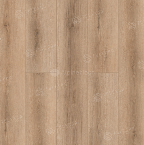 Bellone 1002-17