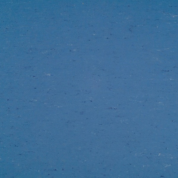 0004 Bluebird