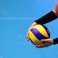 DLV Active Sports Volleyball