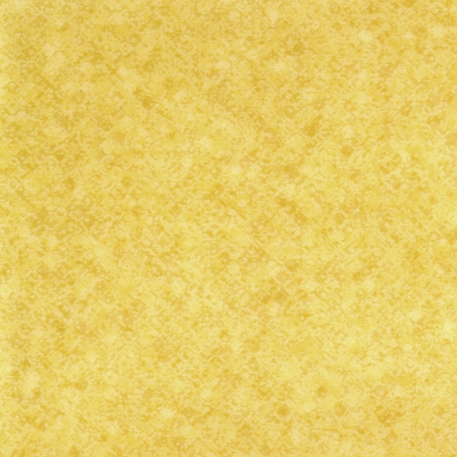 Evolution 4253-464-4