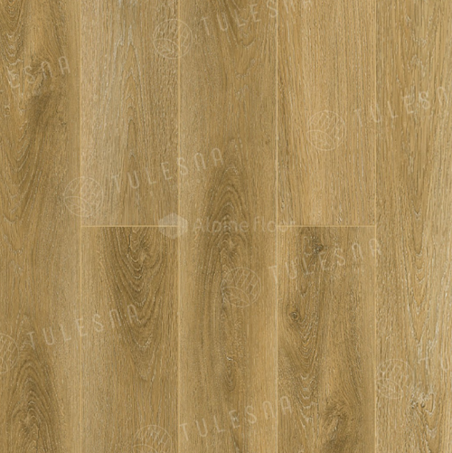 COSTANTE 1004-5