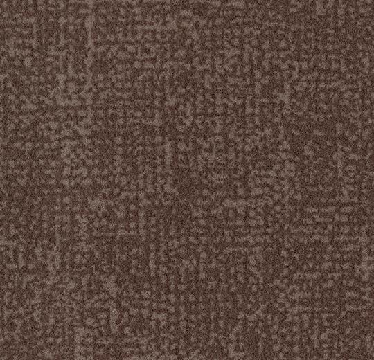 s246015_t546015 cocoa