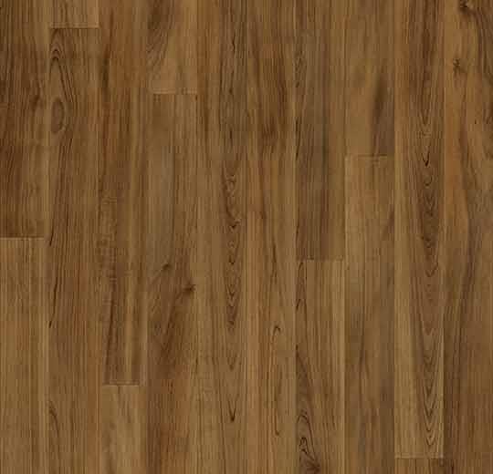 010057 cedar