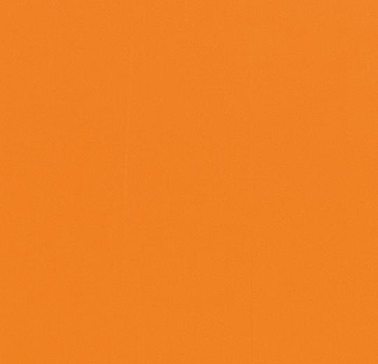 430806, 420806 apricot