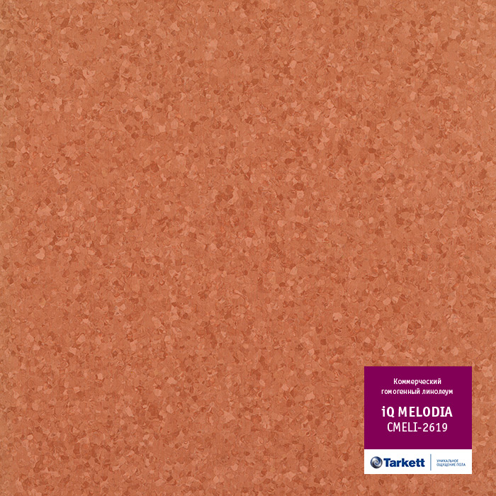 Tarkett IQ Melodia 2619