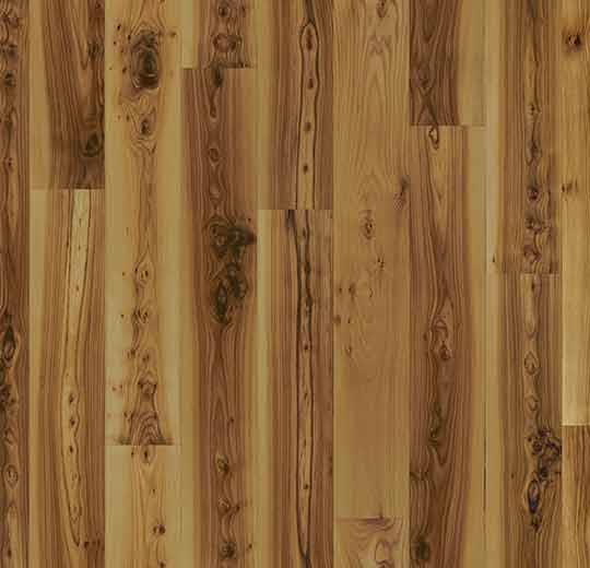 010012 light elm