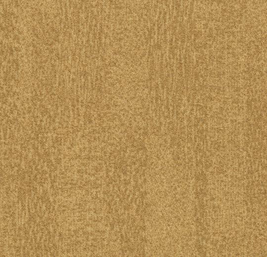 s482022_t382022 amber