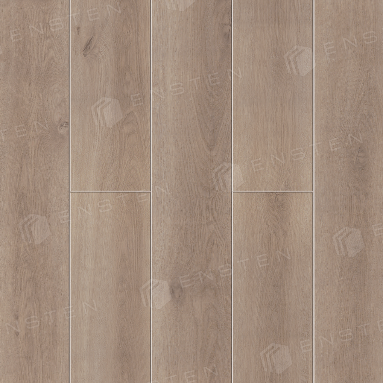 ECO 102-12 Камелия