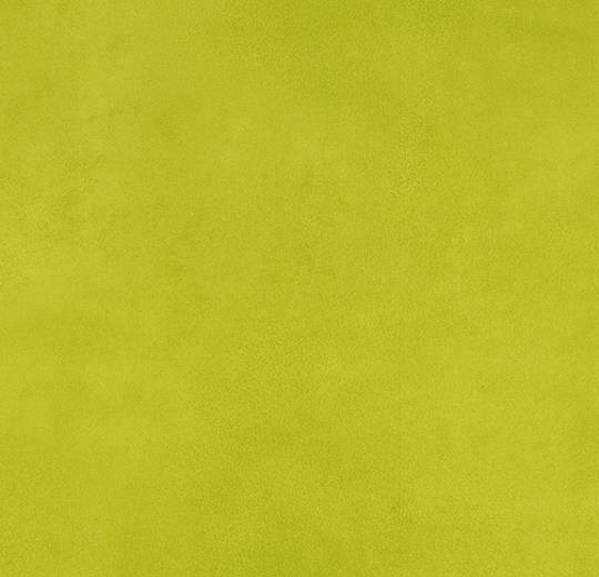 433778, 432778 kiwi