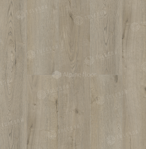 Agny 1002-11
