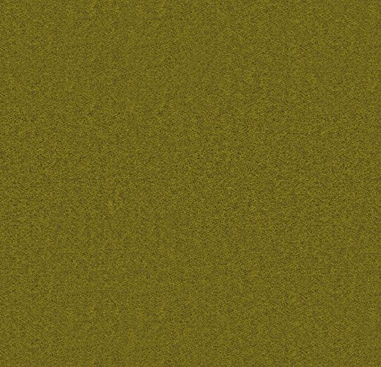 900208 olive