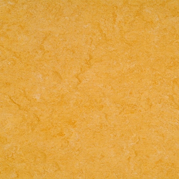 0072 golden yellow 2,5 мм