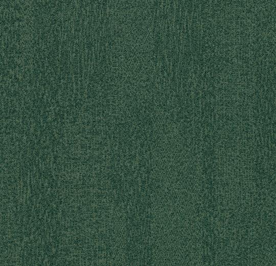 s482025_t382025 forest