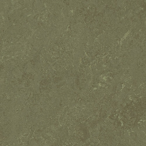 0138 khaki 2,5 мм