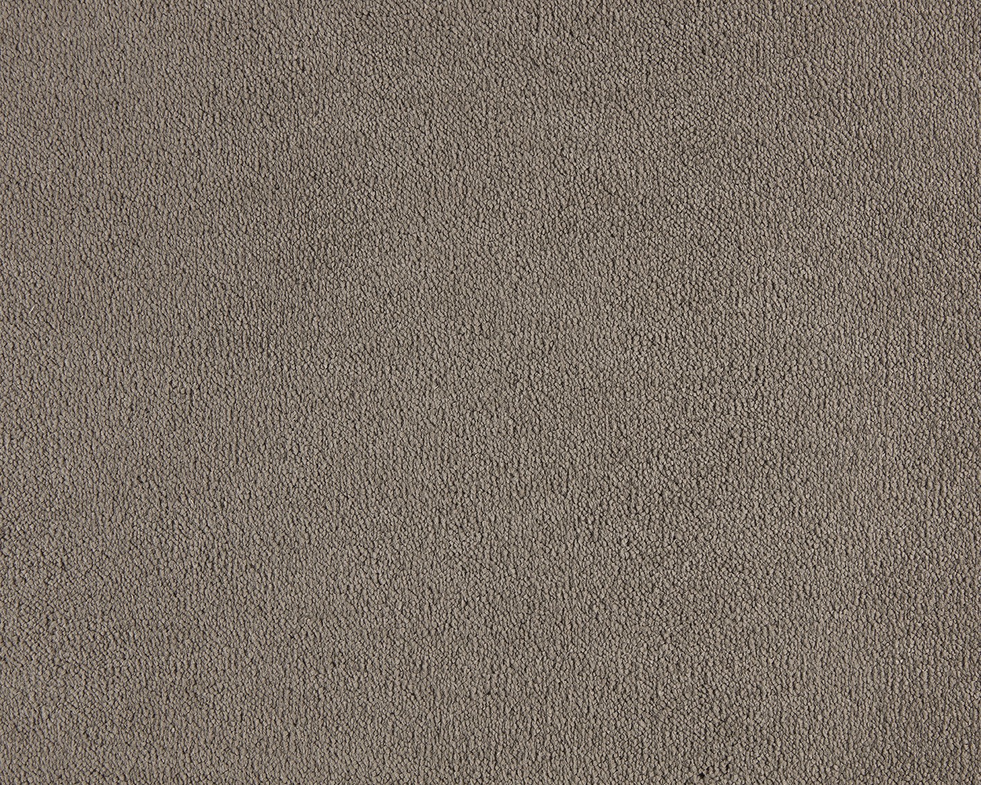 Celeste 410 Leather