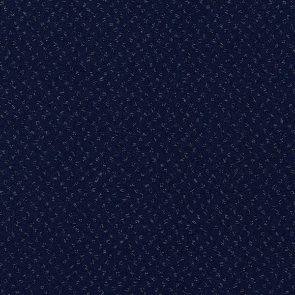Fortesse 38