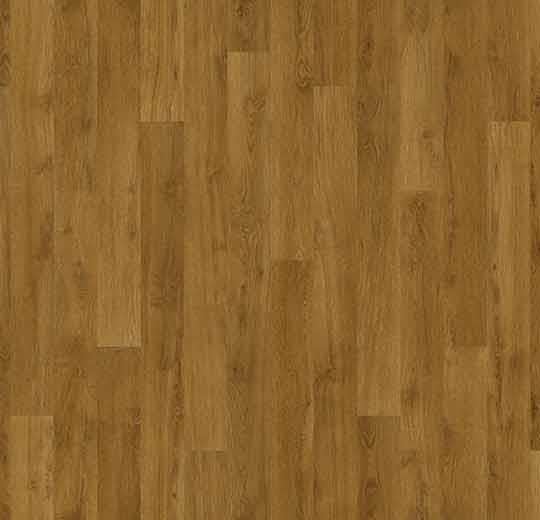 010053 golden oak