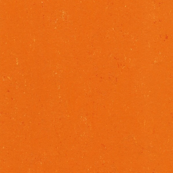 0170 Kumquat Orange