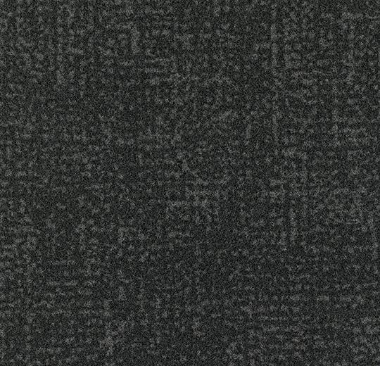 s246007_t546007 ash