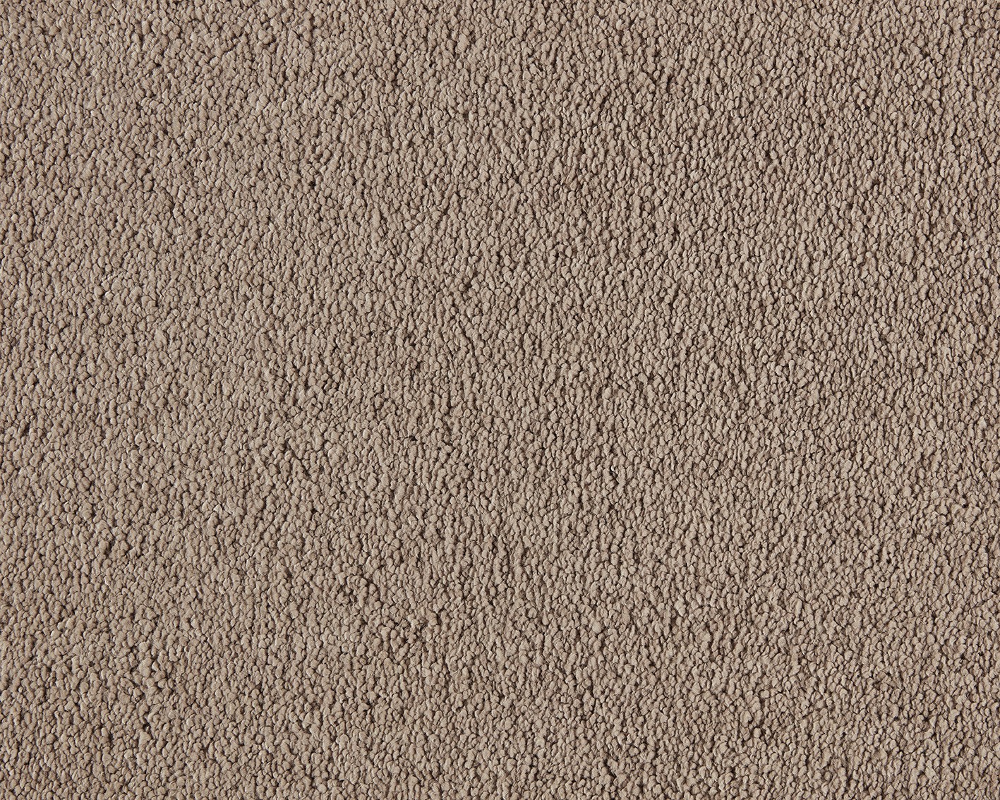 Boheme 260 Camel
