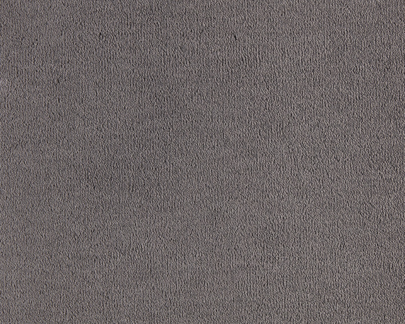 Celeste 840 Moonshine