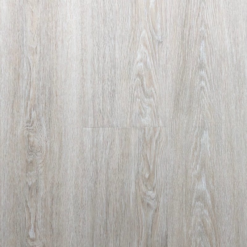 дуб атланта DR 0022