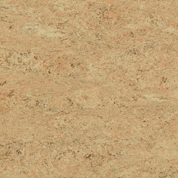 1070 Rocky Brown